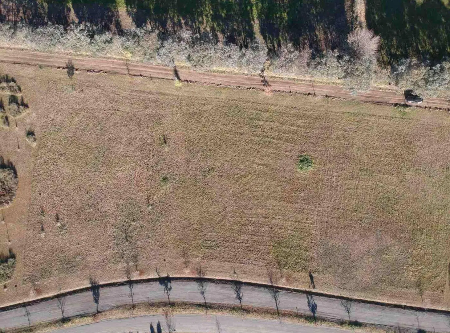 Venta Lote Eucaliptos 2005 m2 Laguna de las Pampas 4