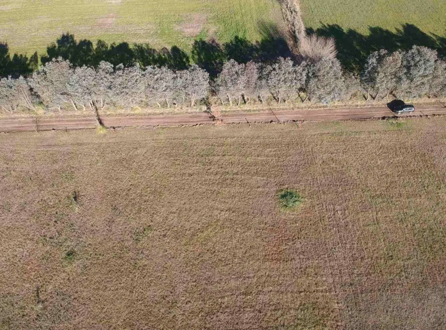 Venta Lote Eucaliptos 2005 m2 Laguna de las Pampas 8
