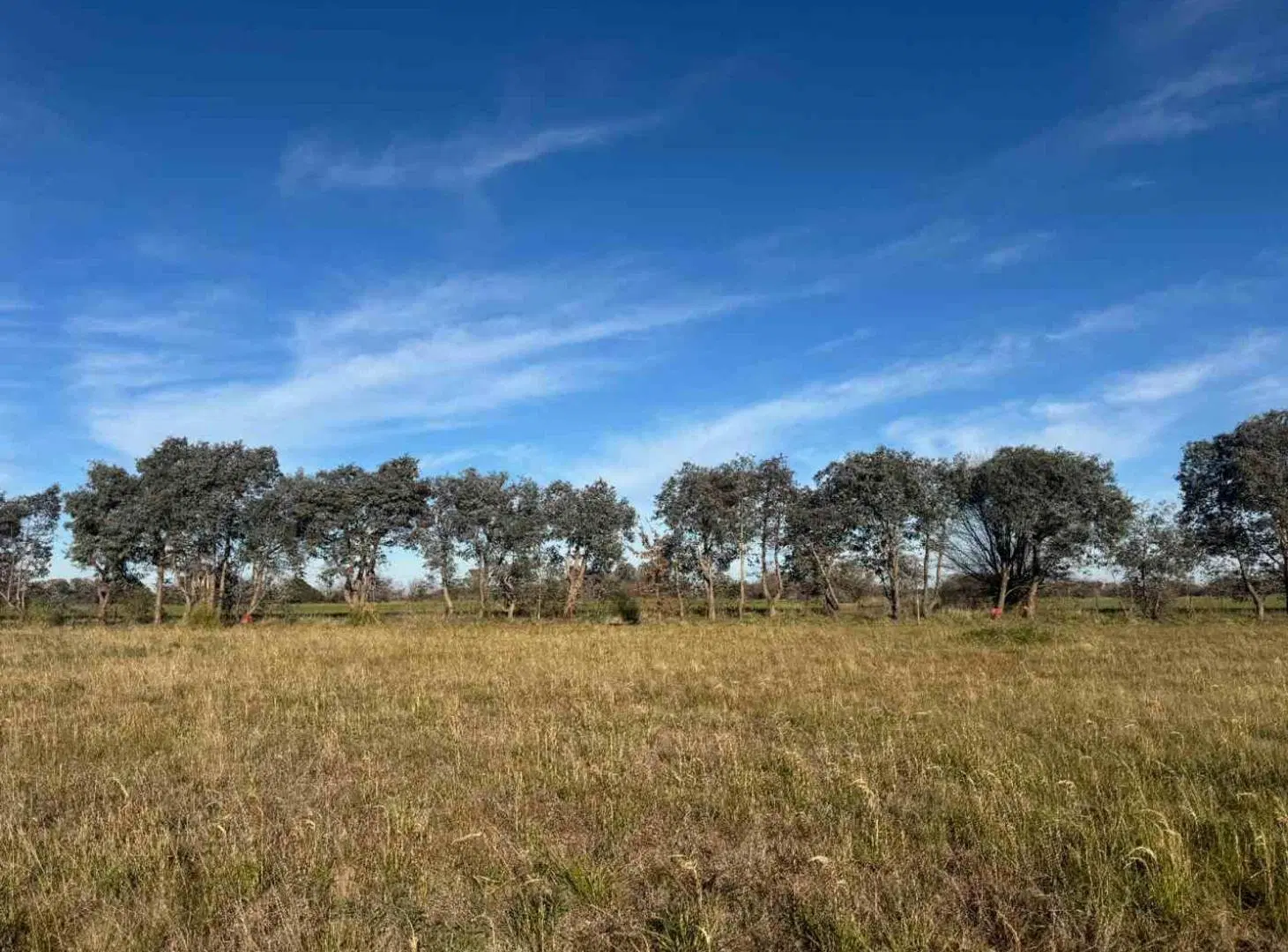 Venta Lote Eucaliptos 2005 m2 Laguna de las Pampas 5