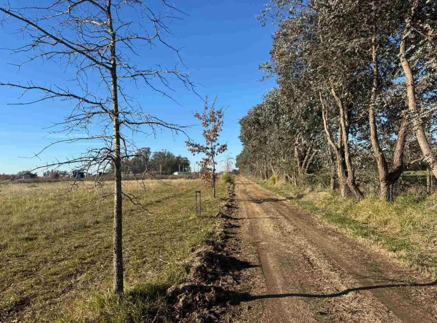 Venta Lote Eucaliptos 2005 m2 Laguna de las Pampas 2