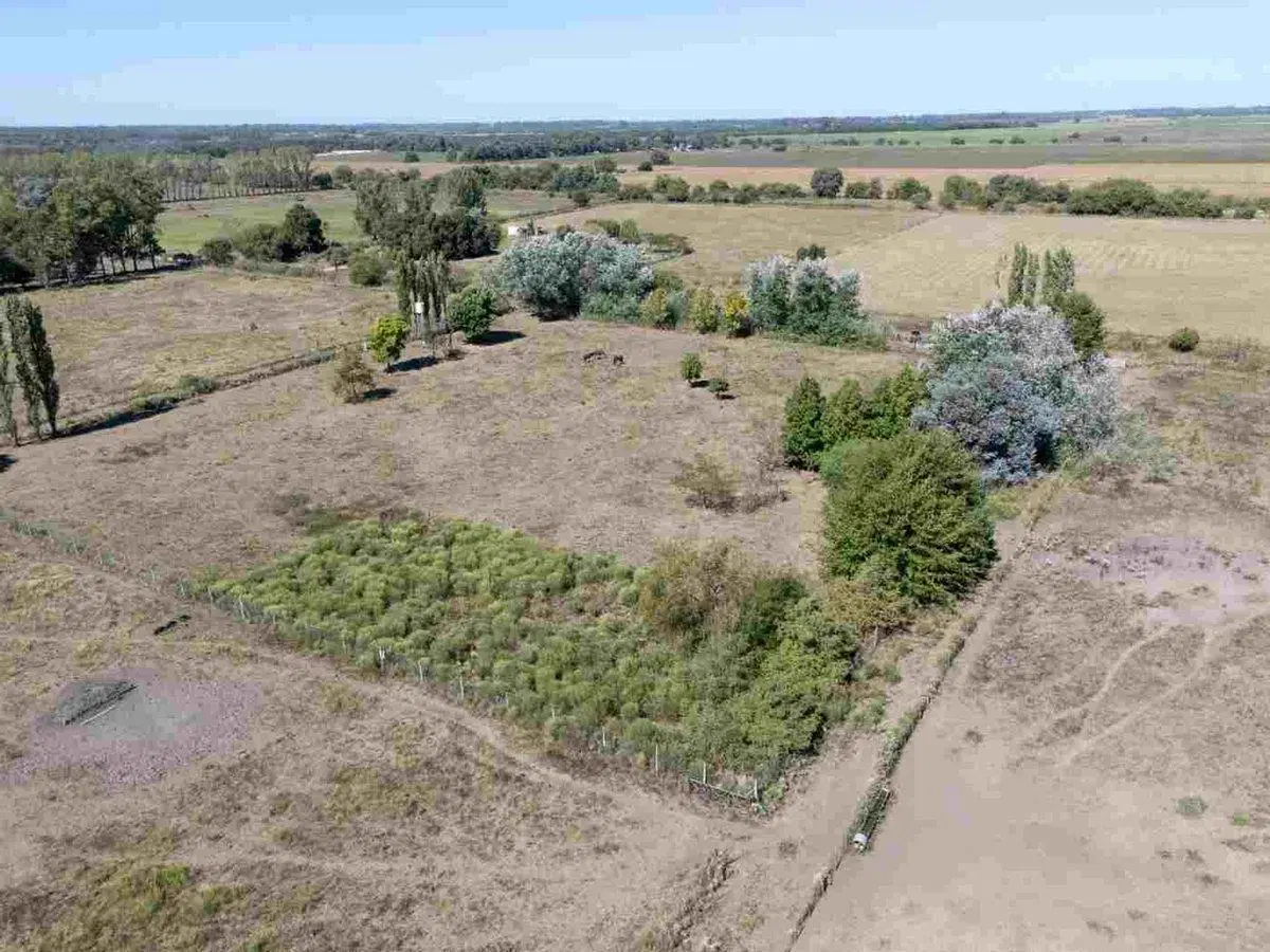 CAMPO EN VENTA CAPILLA DEL SEÑOR  12,89 HECTARÉAS 4