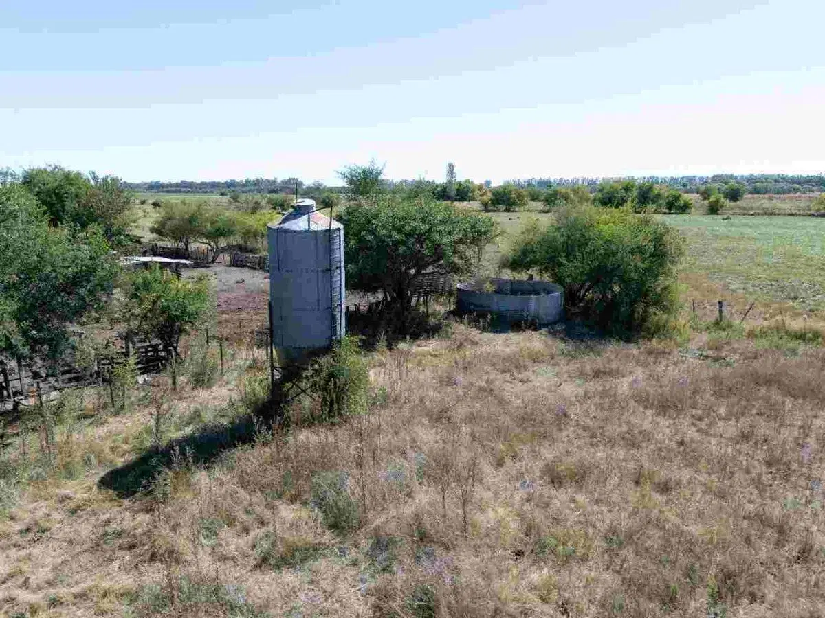 CAMPO EN VENTA CAPILLA DEL SEÑOR  12,89 HECTARÉAS 3