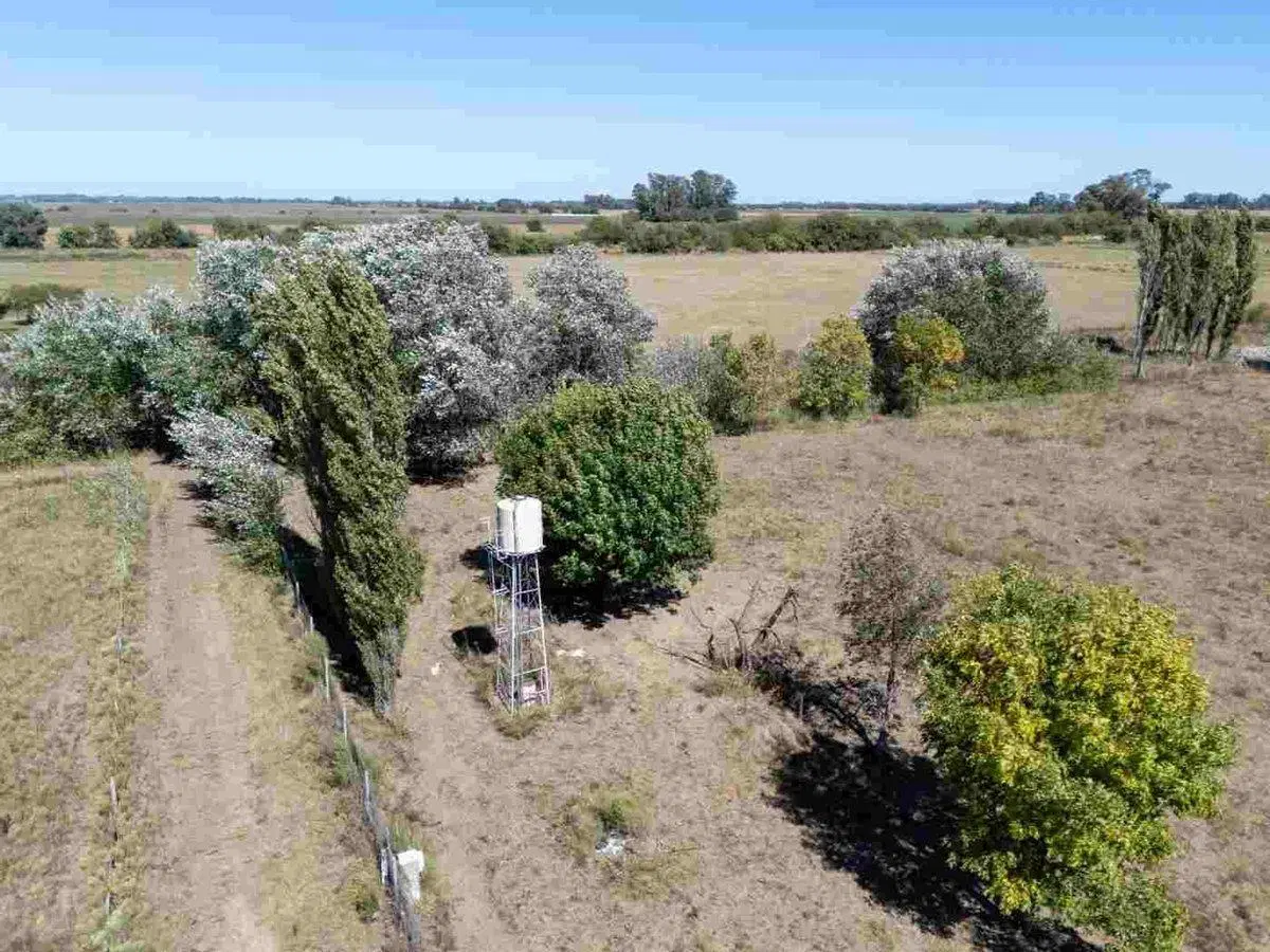 CAMPO EN VENTA CAPILLA DEL SEÑOR  12,89 HECTARÉAS 2