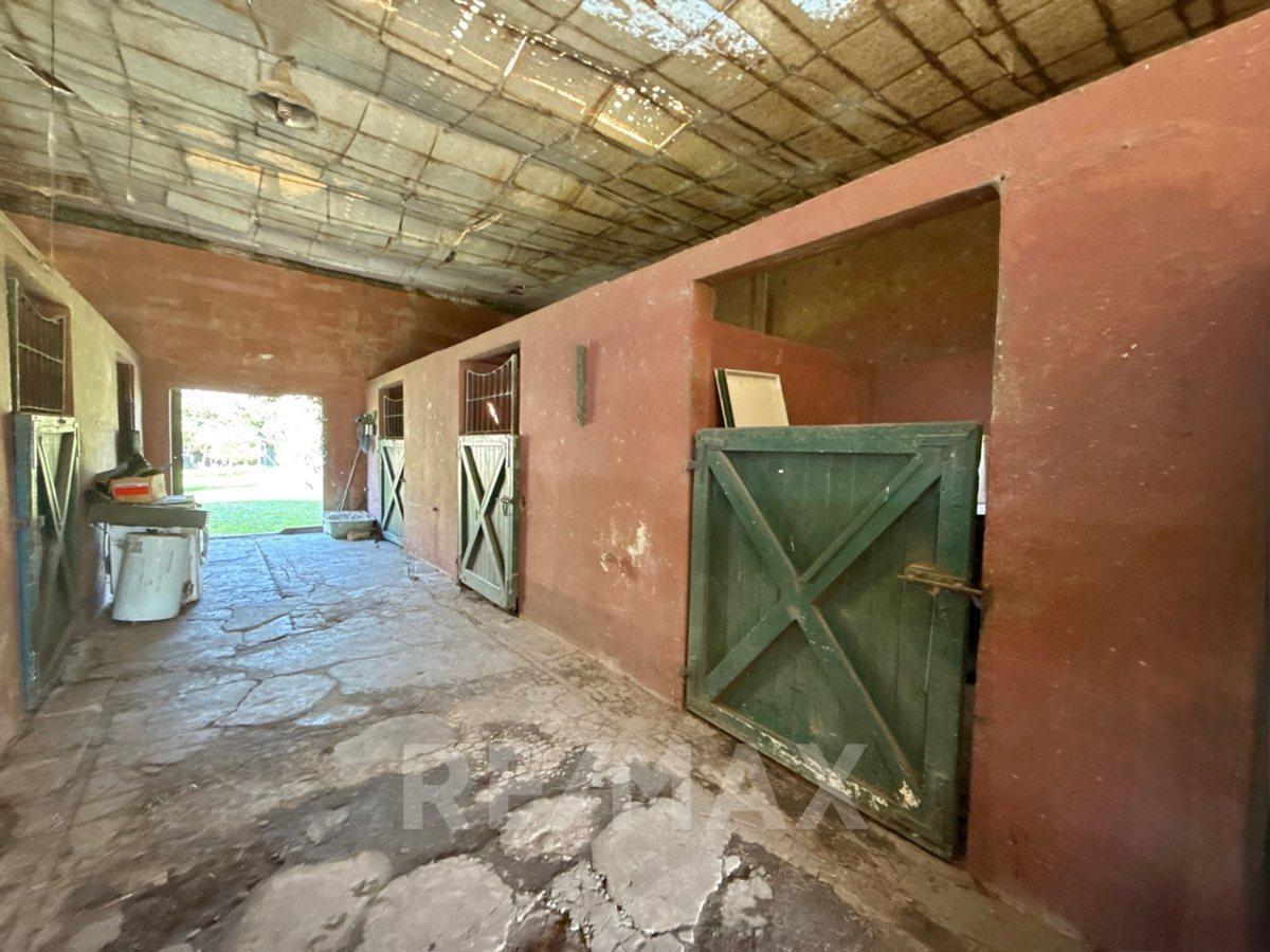 Foto de VENTA DE CHACRA EN TORRES/ PERMUTA, imagen 5