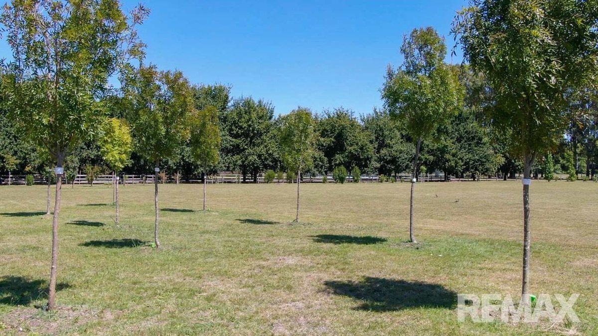 Foto de VENTA CHACRA 1 Ha FORESTADA CANCHA DE POLO PERMUTA, imagen 2