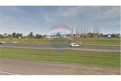 Foto de VENTA TERRENO 10.000 M2 EN PANAMERICANA PILAR., imagen 2
