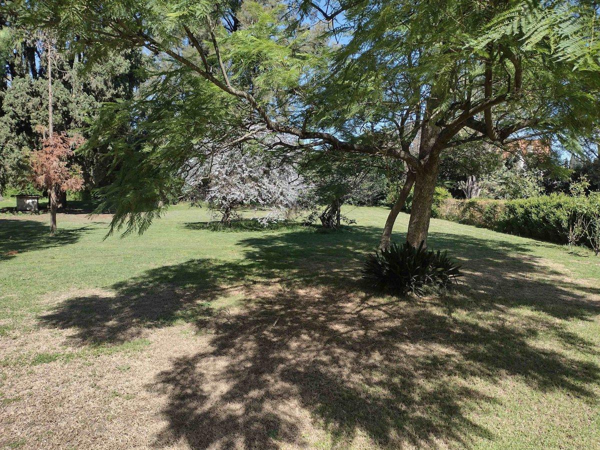 Foto de VENTA TERRENO APTO DESARROLLO INMOBILIARIO, imagen 3