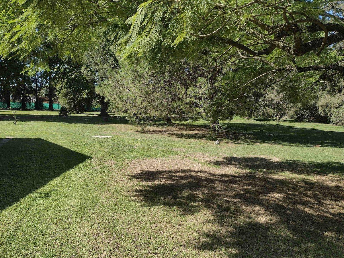 Foto de VENTA TERRENO APTO DESARROLLO INMOBILIARIO, imagen 2
