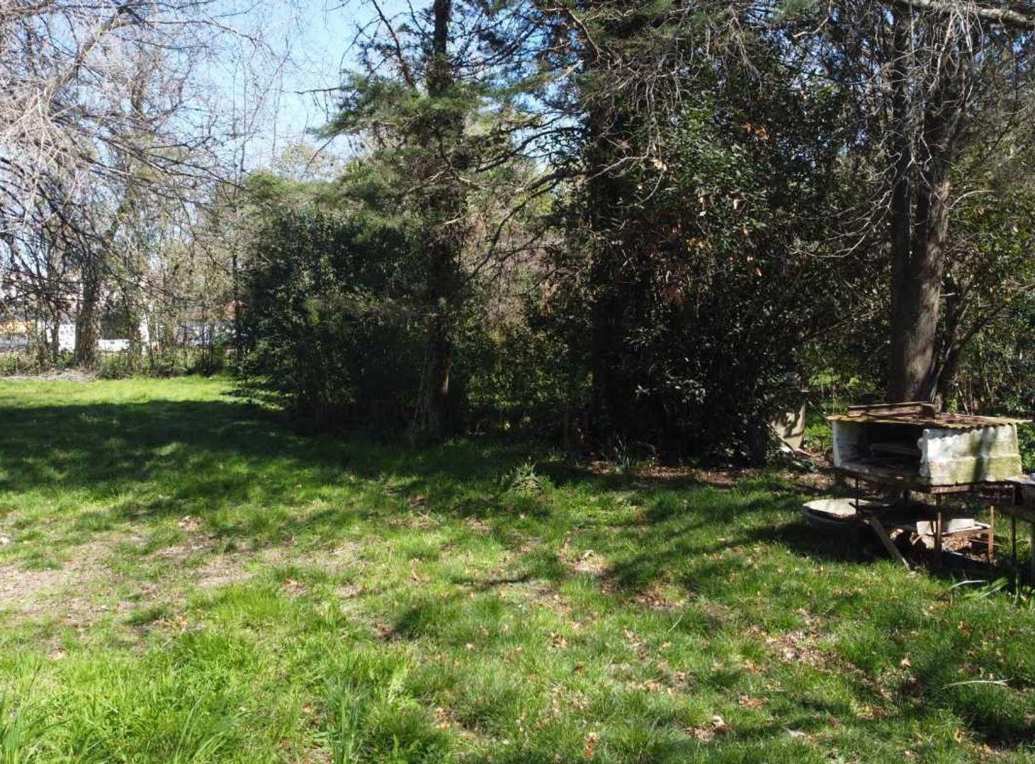 Foto de Venta Terreno 10000 metros, imagen 4