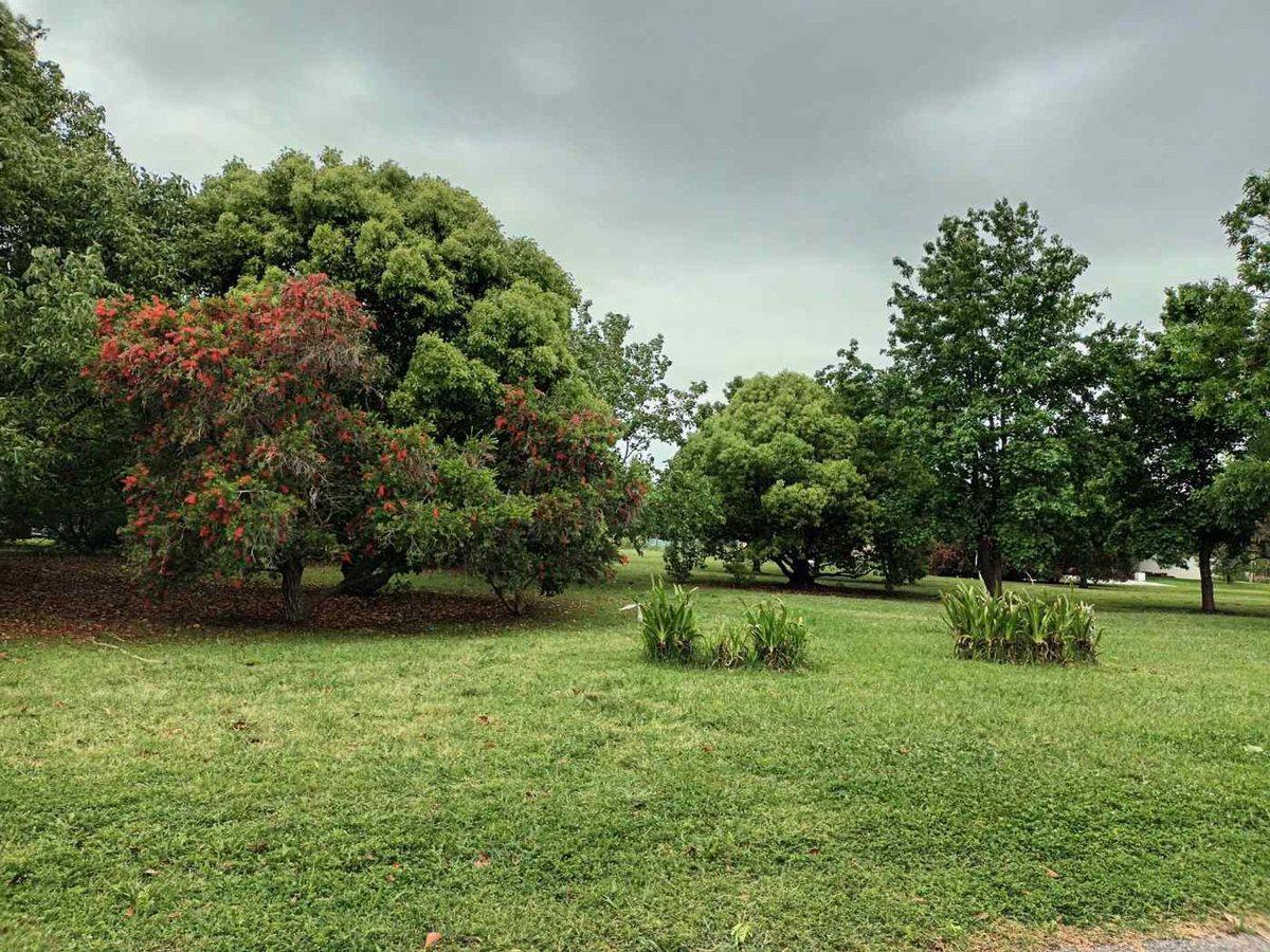 Foto de LOTE VENTA ALCANFORES PILAR - PROYECTO APROBADO, imagen 5