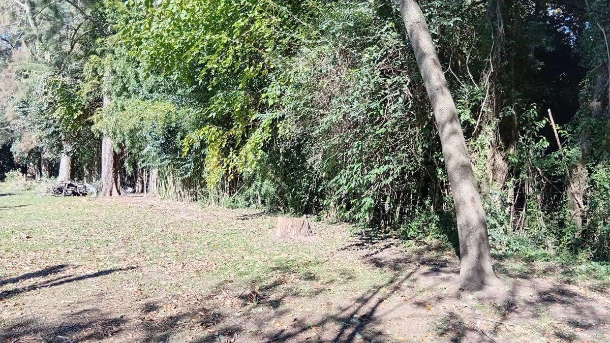 Foto de Venta terreno, 2812 M2 a 3 cuadras de R9 Zarate, imagen 3