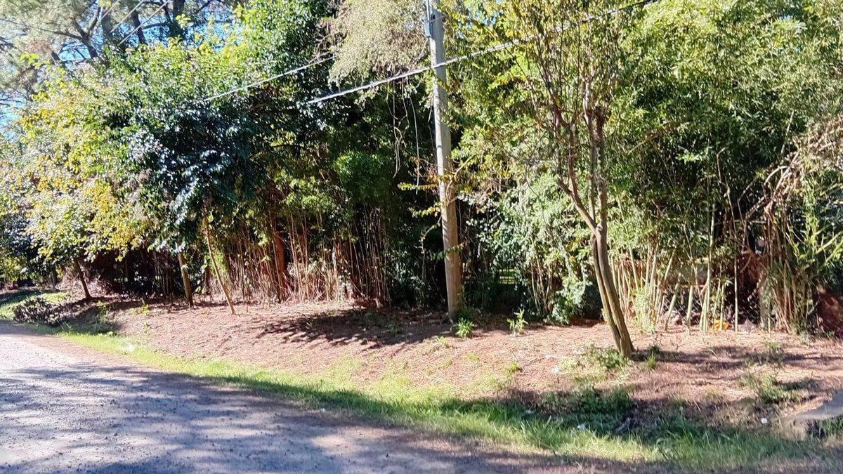 Foto de Venta terreno, 2812 M2 a 3 cuadras de R9 Zarate, imagen 1