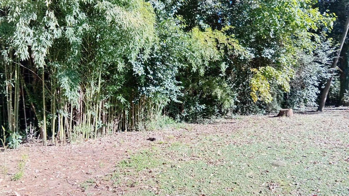 Foto de Venta terreno, 2812 M2 a 3 cuadras de R9 Zarate, imagen 5