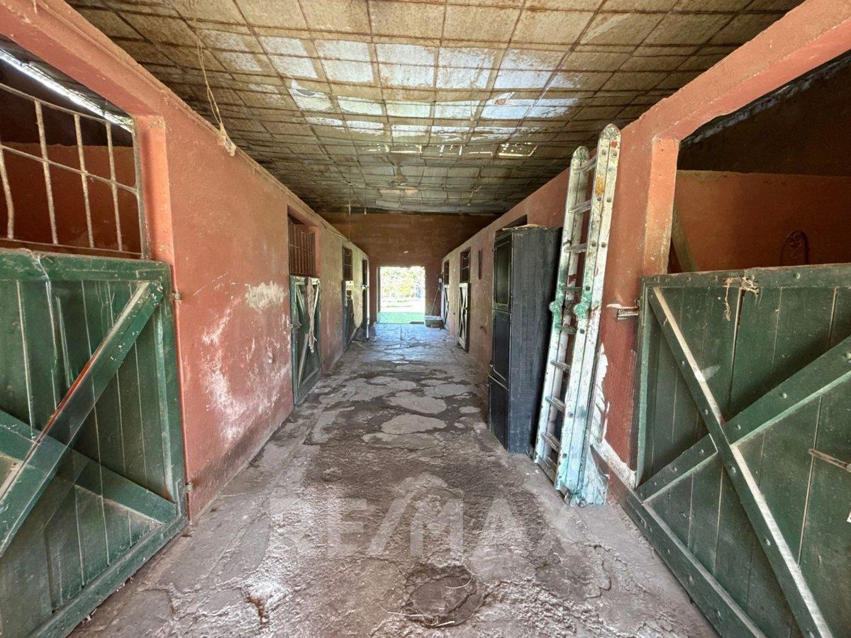 Foto de VENTA DE CHACRA EN TORRES/ PERMUTA, imagen 2