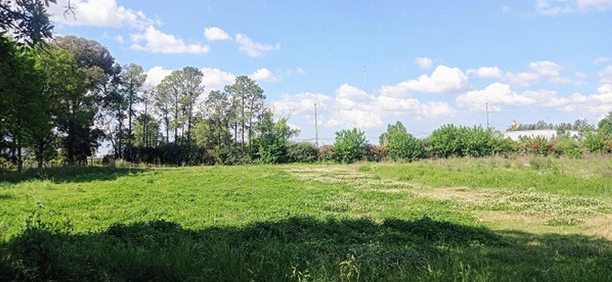 Foto de VENTA TERRENO 2.5 HAS ZONA INDUSTRIAL. MORENO, imagen 3