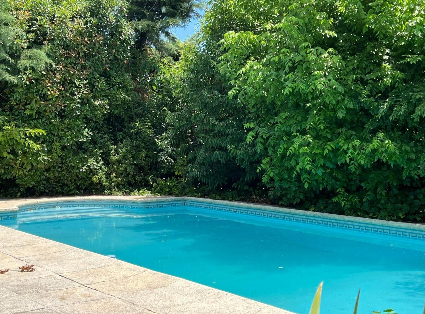 Foto de ALQUILER TEMP CASA 5amb GALAPAGOS FIESTAS+VERANO, imagen 3