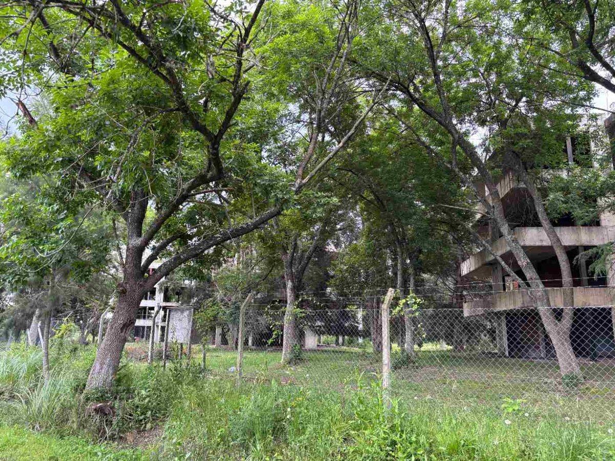 Foto de VENTA FRACCION PILAR LOTE C/CONSTRUC 8.3 HECTAREAS, imagen 5