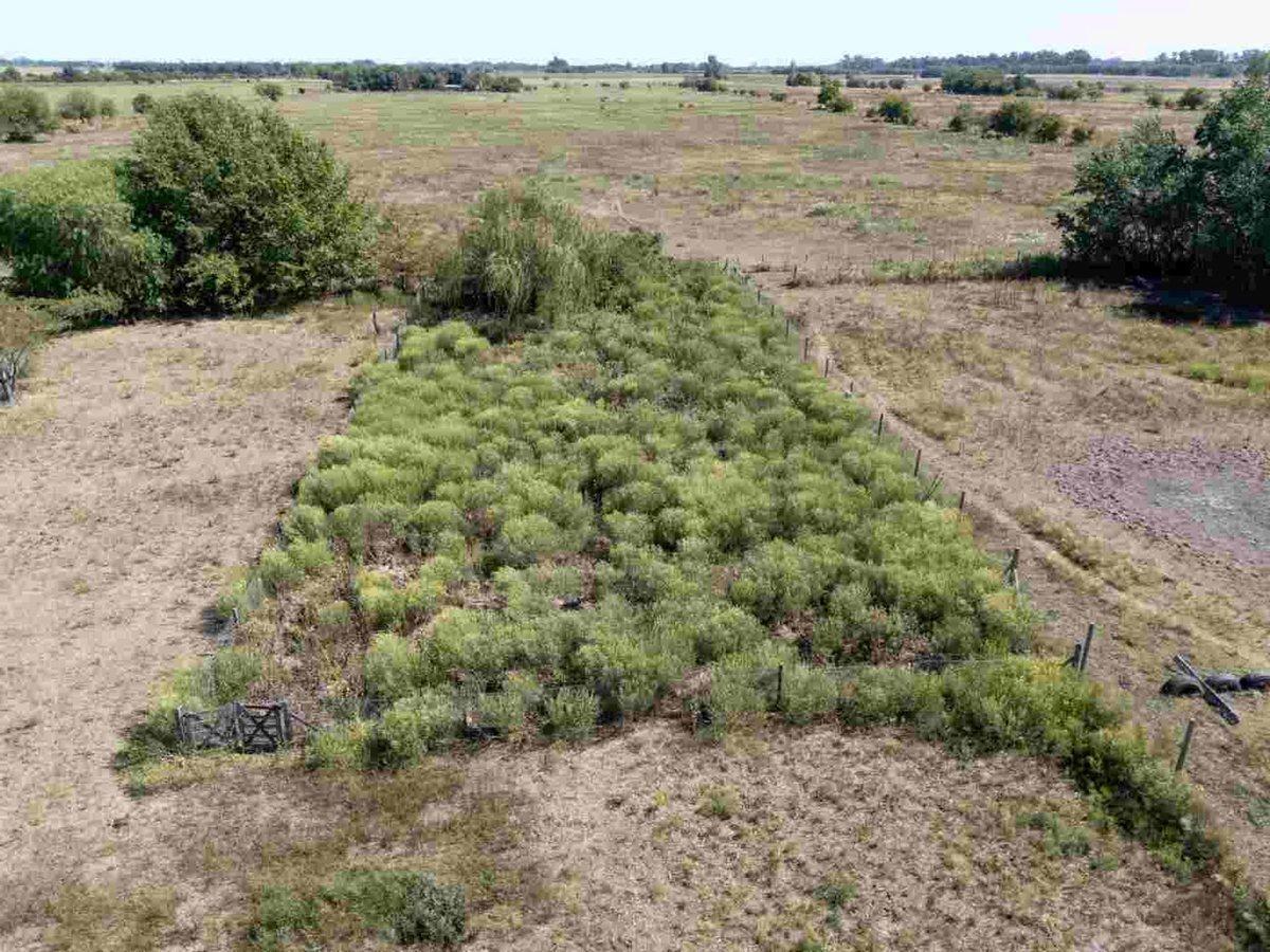 Foto de CAMPO EN VENTA CAPILLA DEL SEÑOR 12,89 HECTARÉAS, imagen 4
