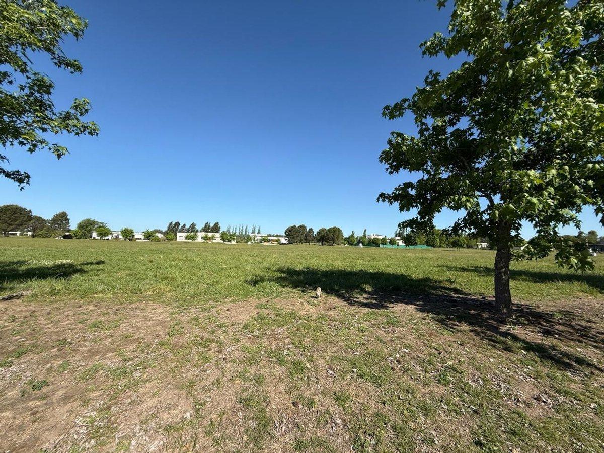 Foto de LOTE TERRENO 4256 m2 EN VENTA LUJAN B. EVERLINKS, imagen 4