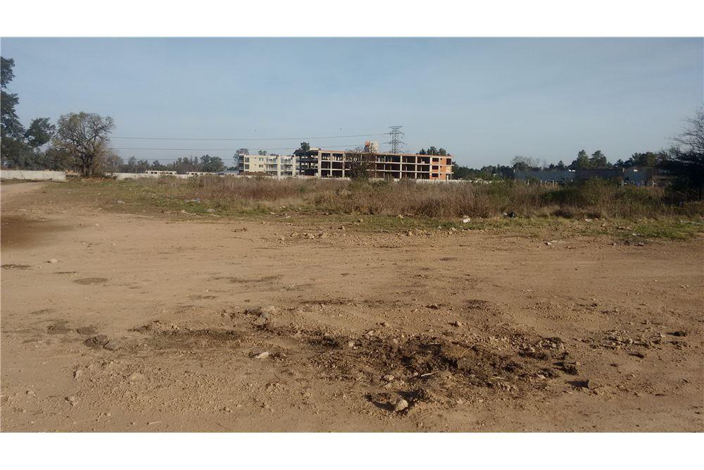 Foto de VENTA TERRENO 10.000 M2 EN PANAMERICANA - PILAR., imagen 3