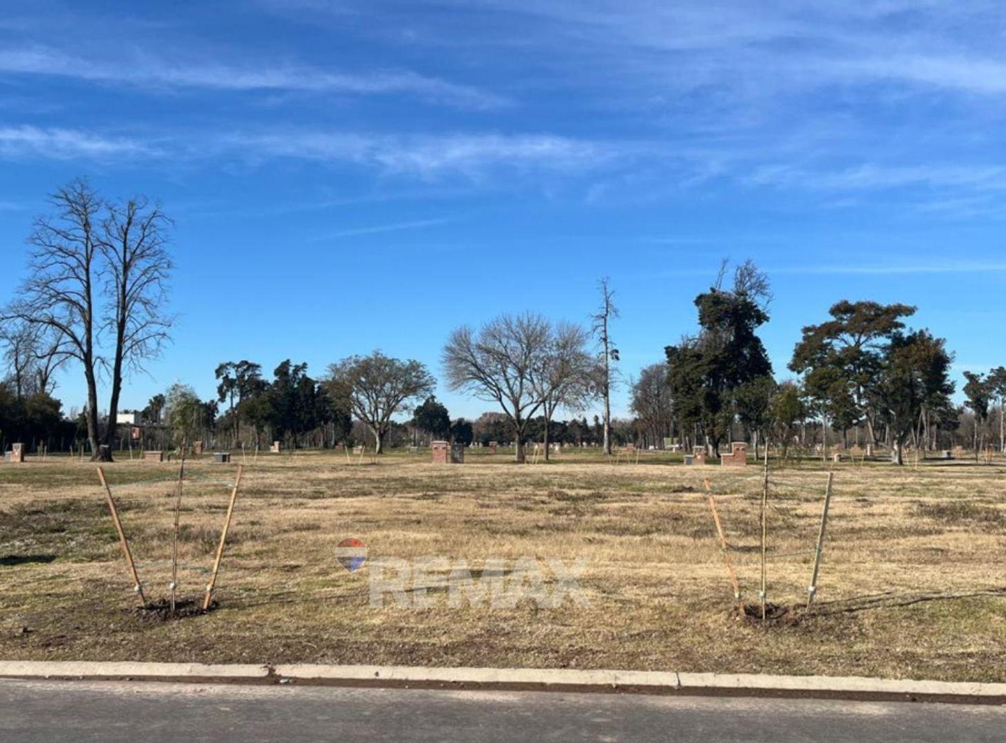 Foto de VENTA LOTE EN LA ESTELA PILAR, imagen 2