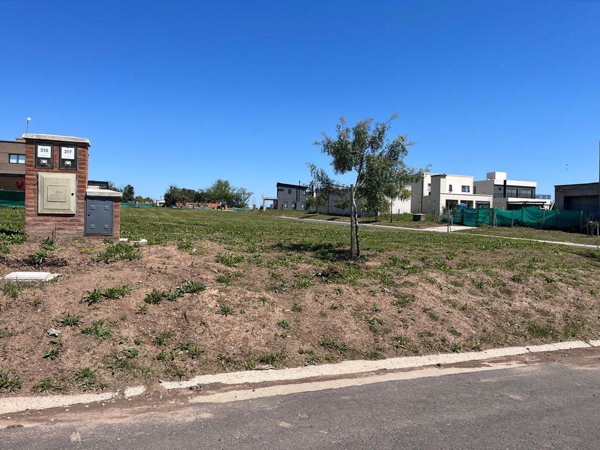 Foto de VENTA LOTE CENTRAL FINANCIADO SANTA ELISA - PILAR, imagen 3