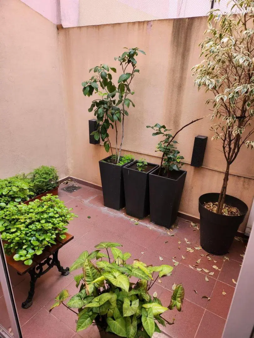 PH indep 2 amb con patio 2 AA + detalles 5
