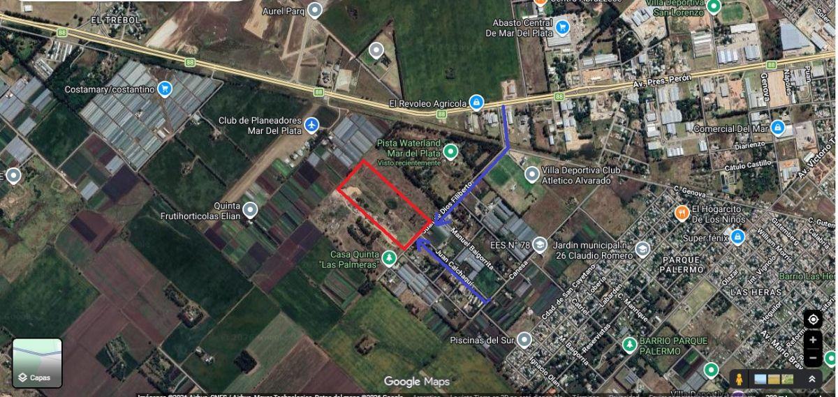 Foto de VENTA EN BLOCK O POR MITAD - Fracción tierra de 12 ha. , en 2 lotes de, imagen 4