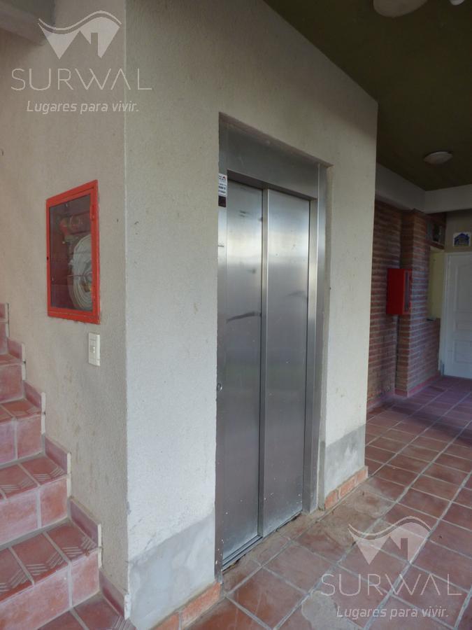 Foto de Departamento - Biedma, imagen 4