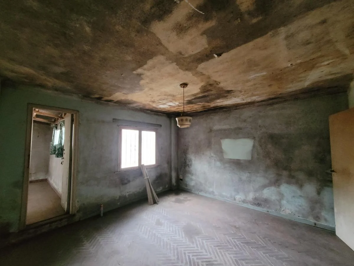 Bartolomé Mitre 3300, Victoria | Lote o PH a Reciclar 4