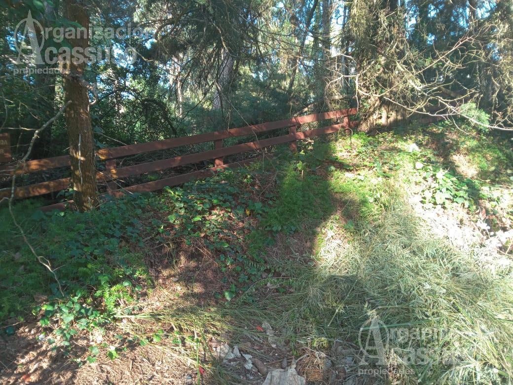 Lote Terreno en Cariló 4