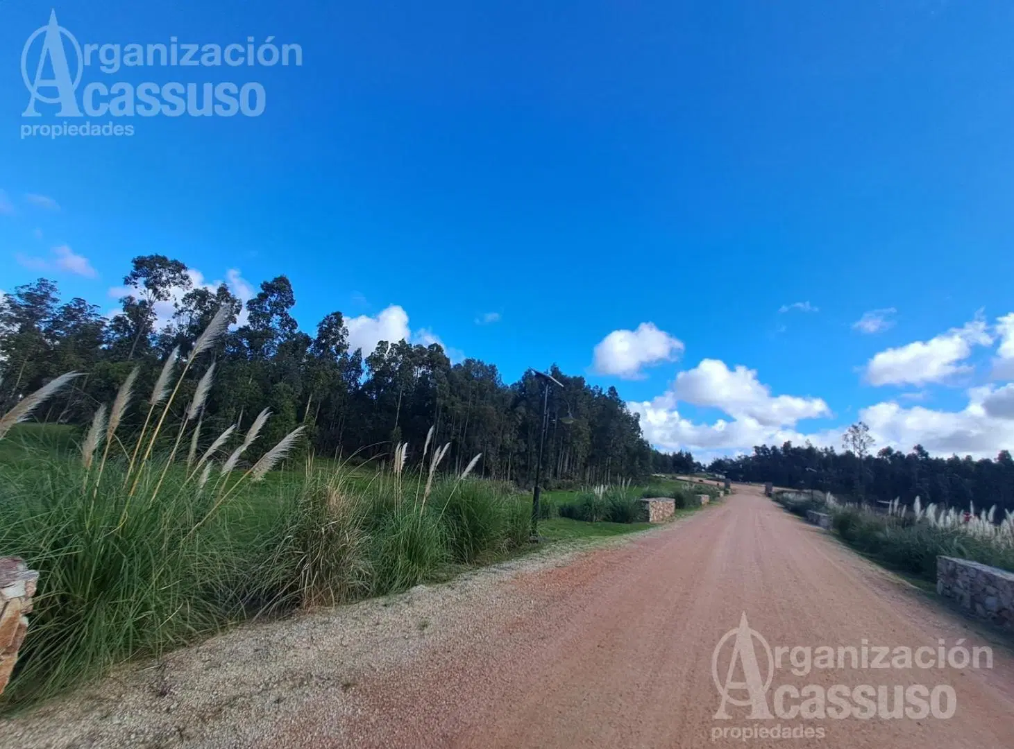 Puerto Quetzal Terreno en venta entrega inmediata 4.000 m2 Barrio privado en La Barra 3
