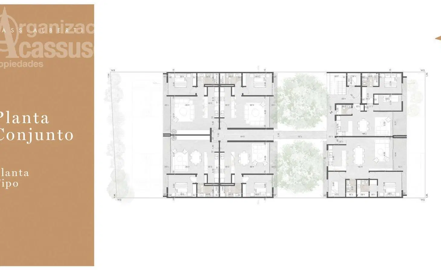 Plano 6