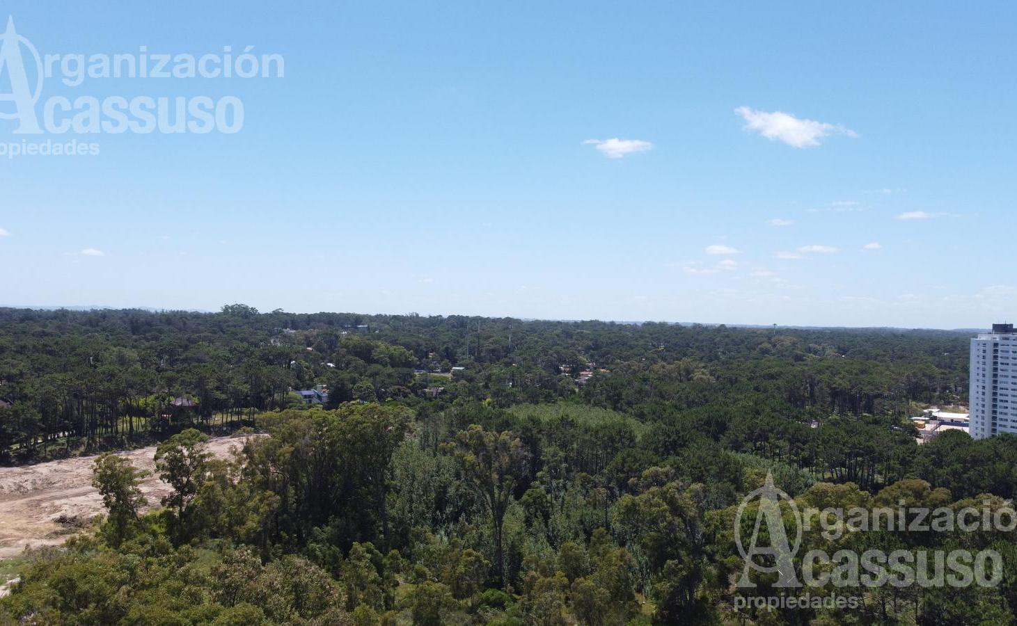 Foto de Departamento en Venta, imagen 5