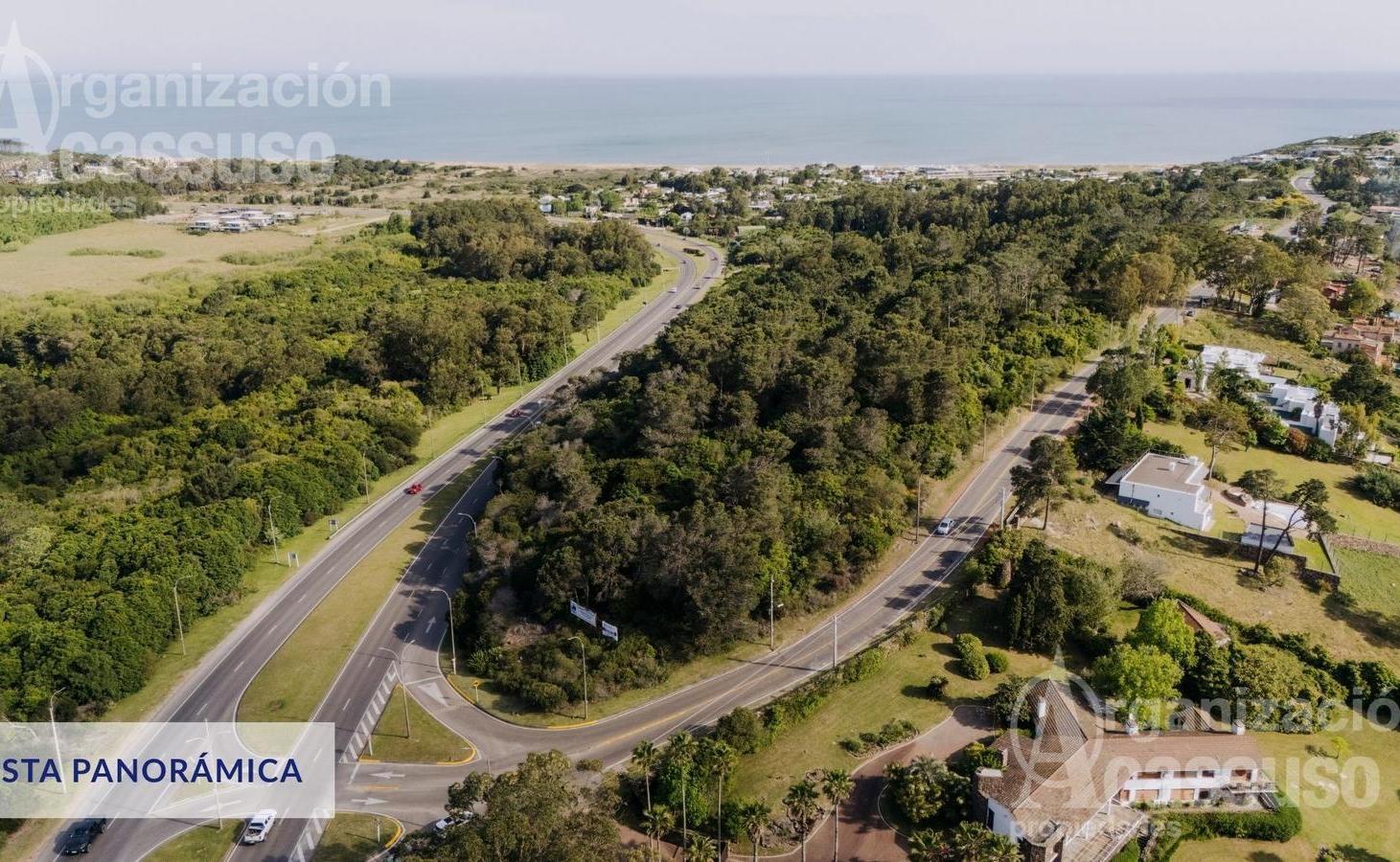 Foto de PH Venta - ZEN Punta Ballena, imagen 3