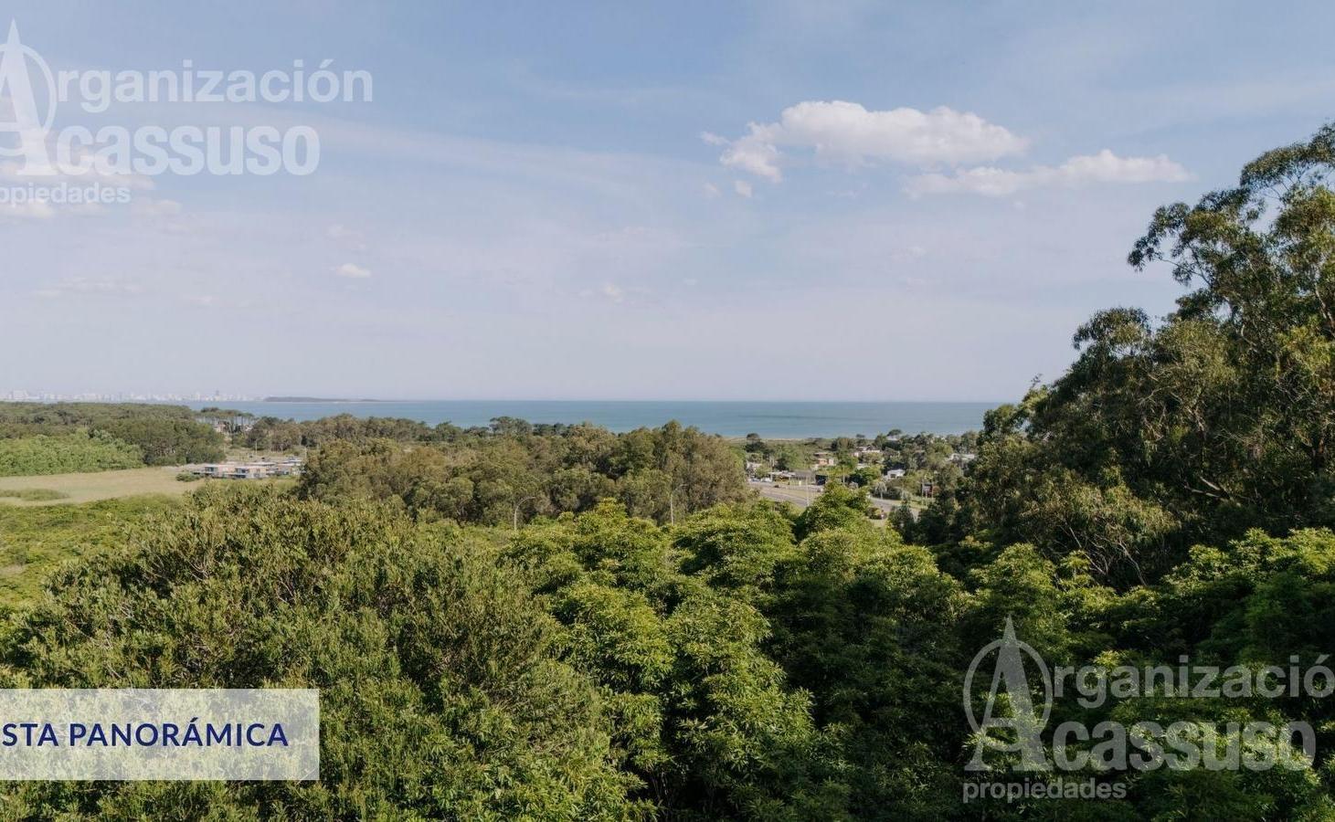Foto de PH Venta - ZEN Punta Ballena, imagen 4