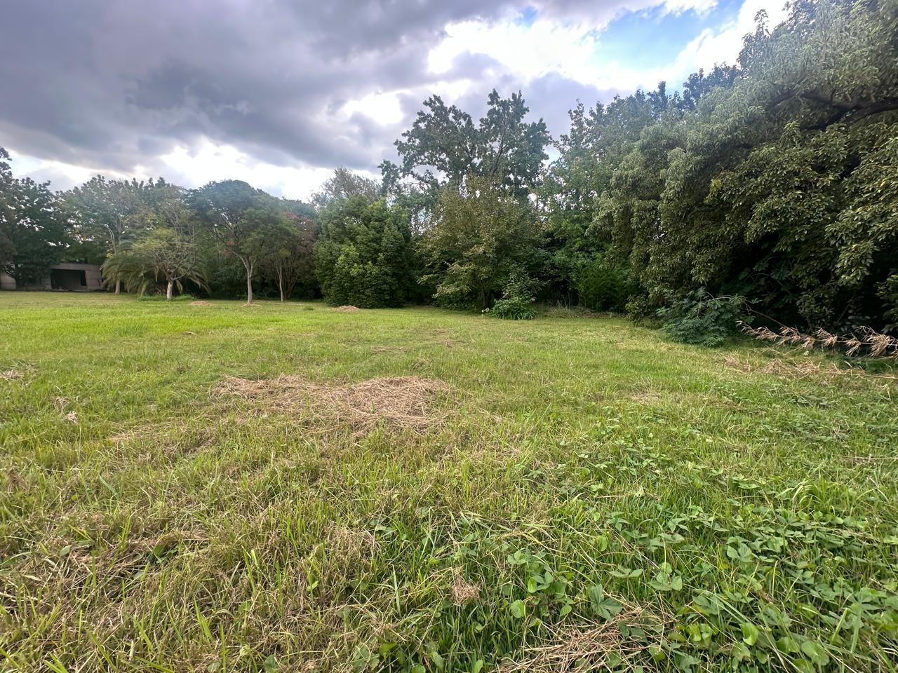 Lotes en venta de aprox 800m2 en Lomas Golf