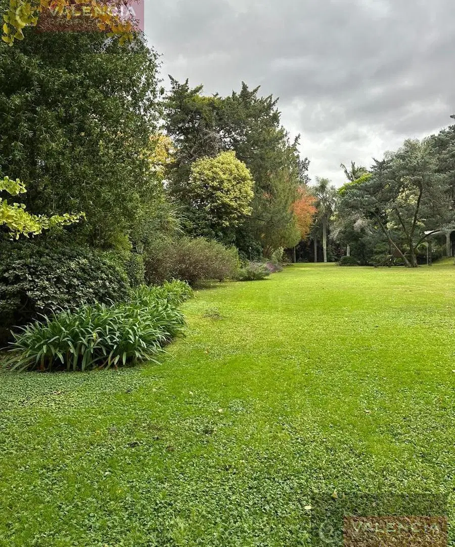 Terreno de 35x112 en el mejor lugar de La Horqueta. San Isidro 2