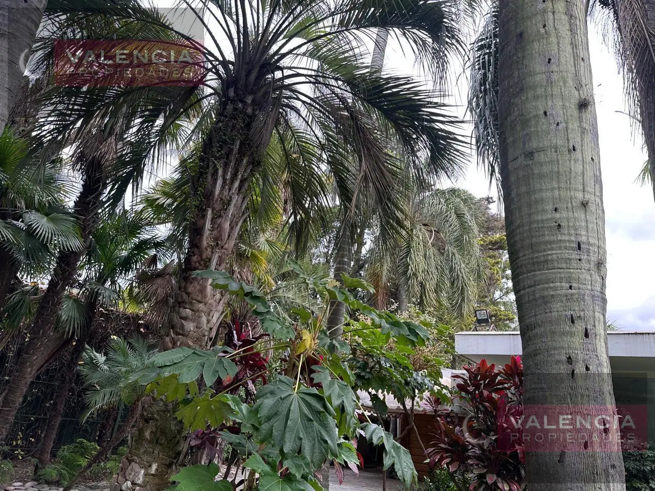Terreno de 35x112 en el mejor lugar de La Horqueta. San Isidro 3