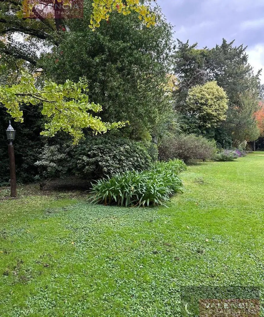 Terreno de 35x112 en el mejor lugar de La Horqueta, San Isidro 3