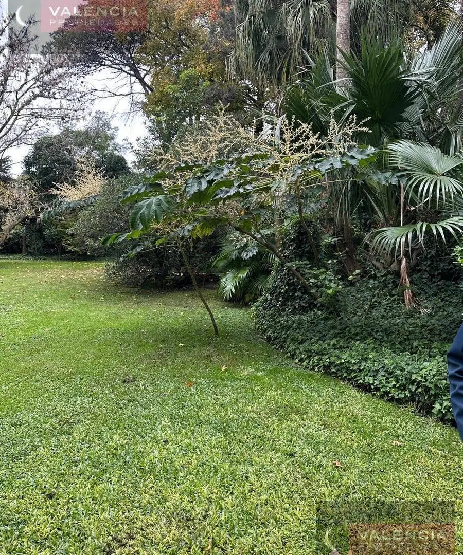 Terreno de 35x112 en el mejor lugar de La Horqueta, San Isidro 5