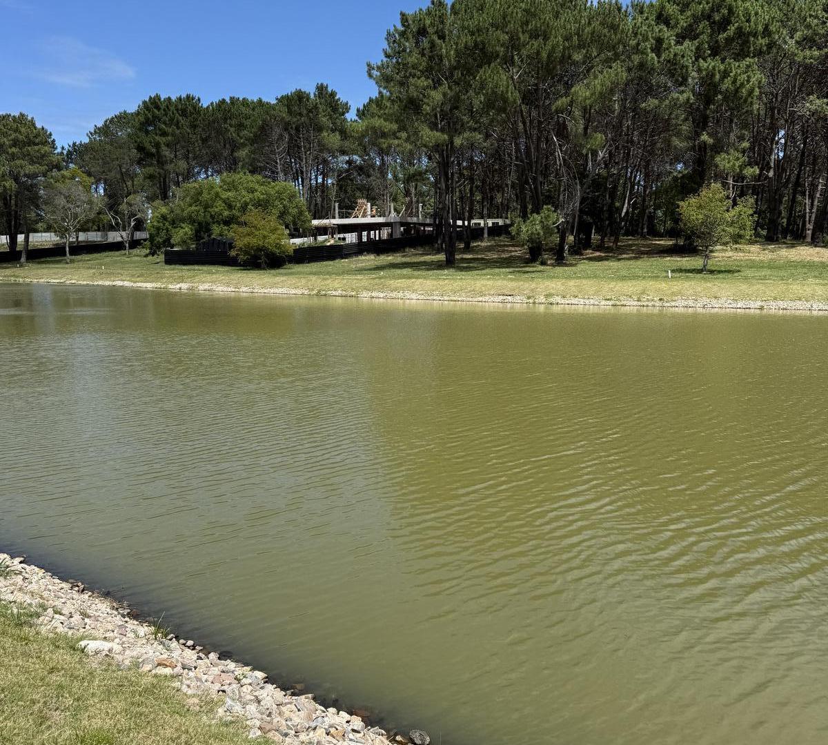 Foto de Terreno en Cantegril, imagen 5