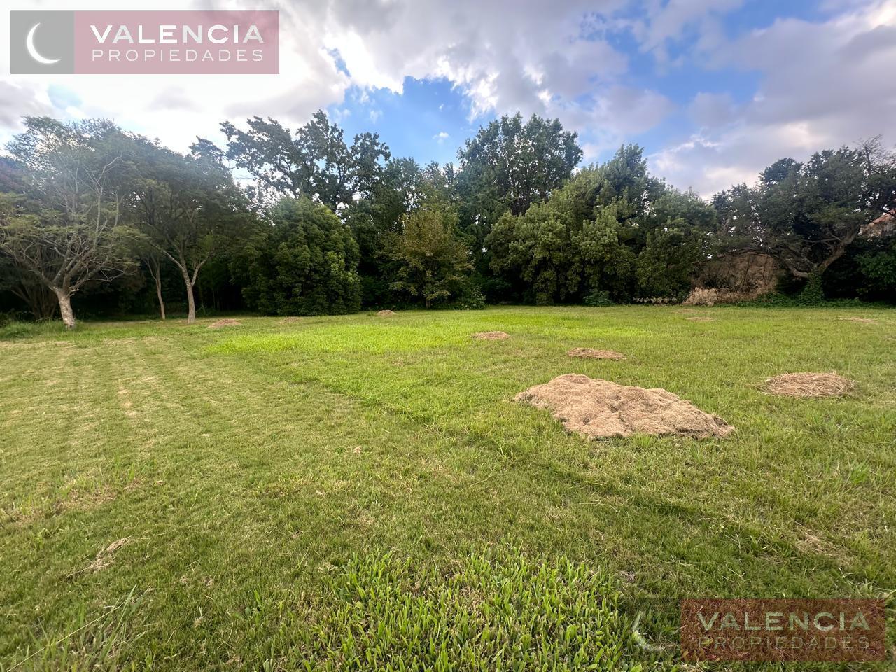Foto de Lotes en venta d 800m2. Lomas Golf!!, imagen 5