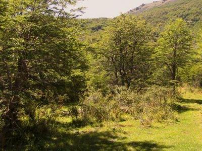 Propiedades Rurales - Mixto - El Corcovado 3