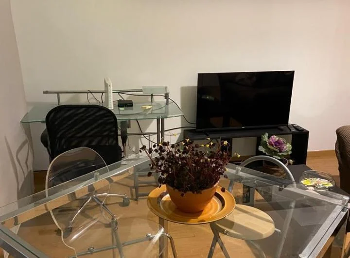 Foto de EXCELENTE STUDIO CON BALCON TERRAZA, imagen 4