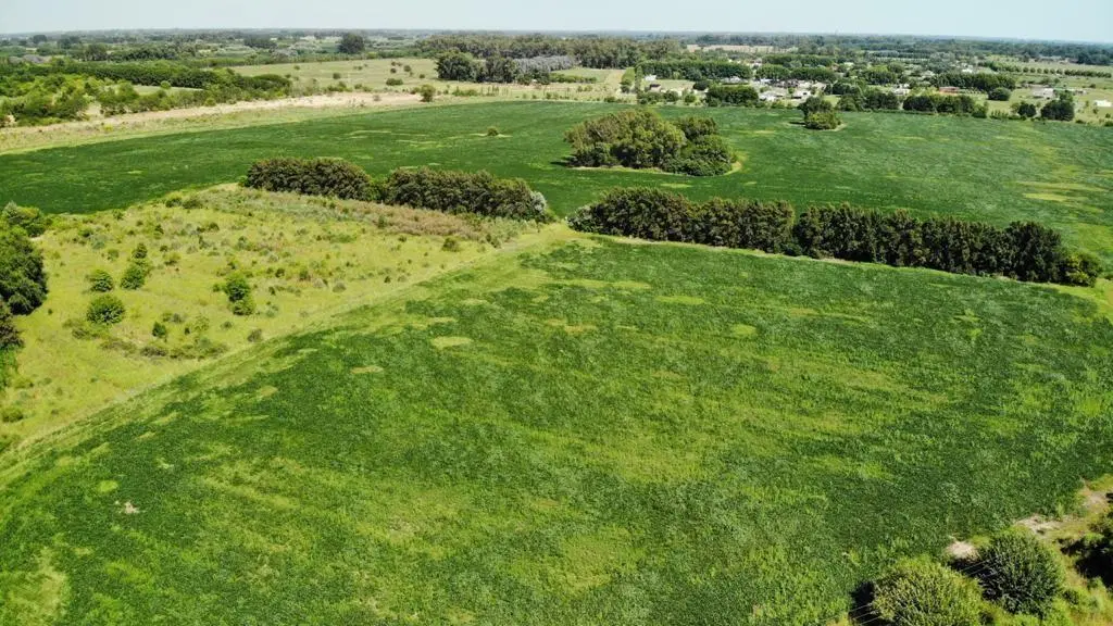 Venta - Campo - Ruta 6 - General Rodríguez 1