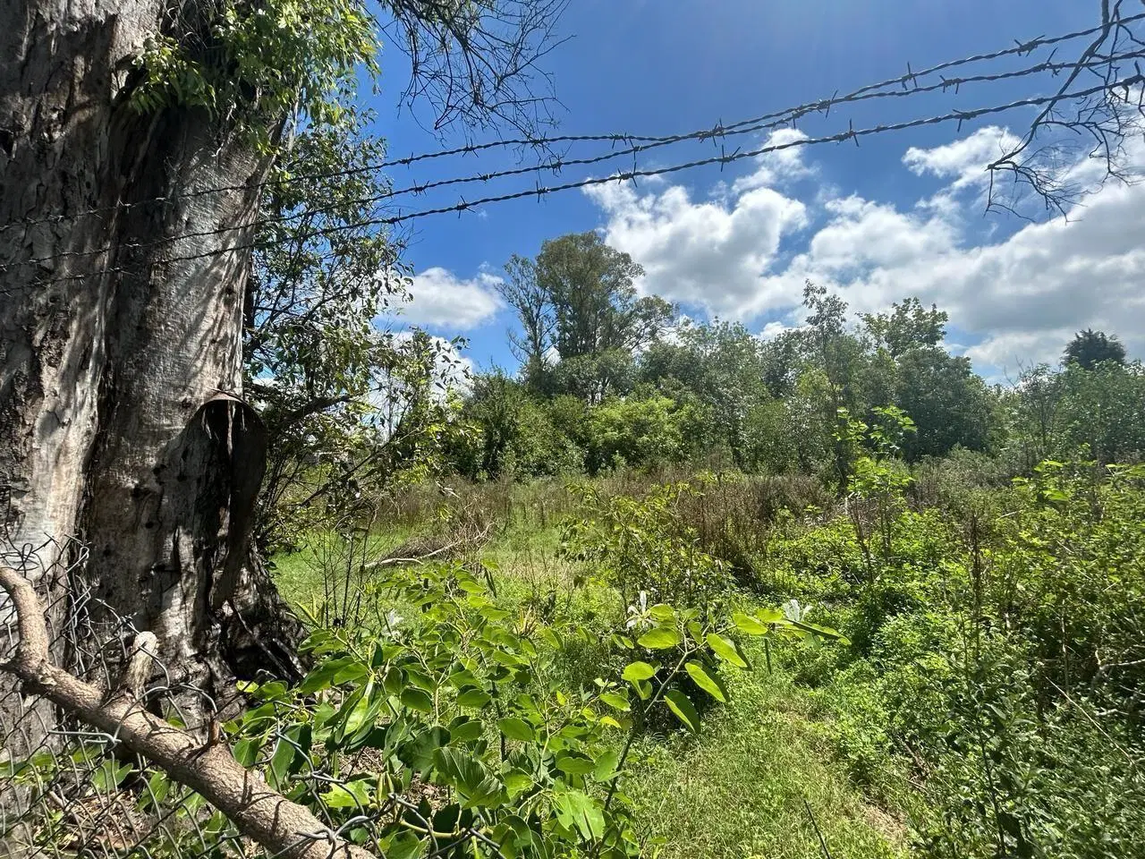 VENTA TERRENO PARQUE ORENSE GENERAL RODRIGUEZ 2