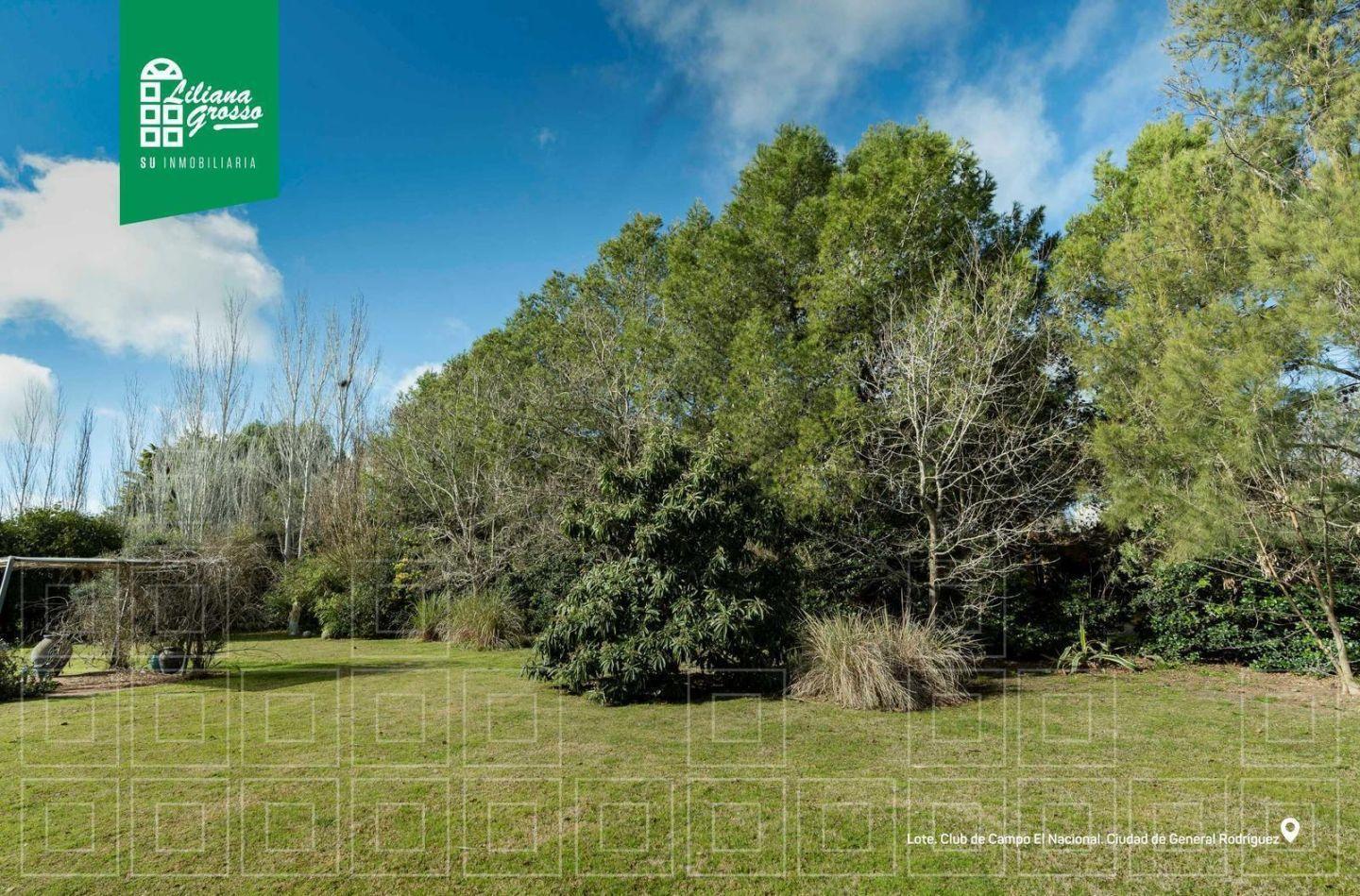 Foto de Venta Terreno General Rodriguez, imagen 3