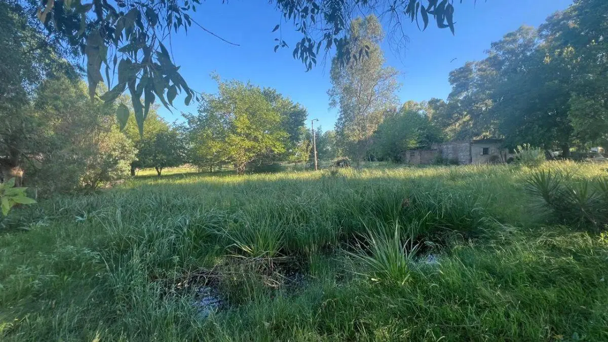 Campo en venta en General Rodríguez 5