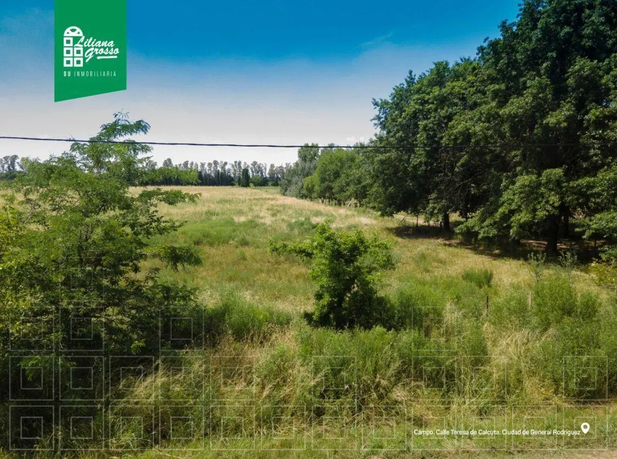 Campo en venta de 4ha ubicado en General Rodríguez 2